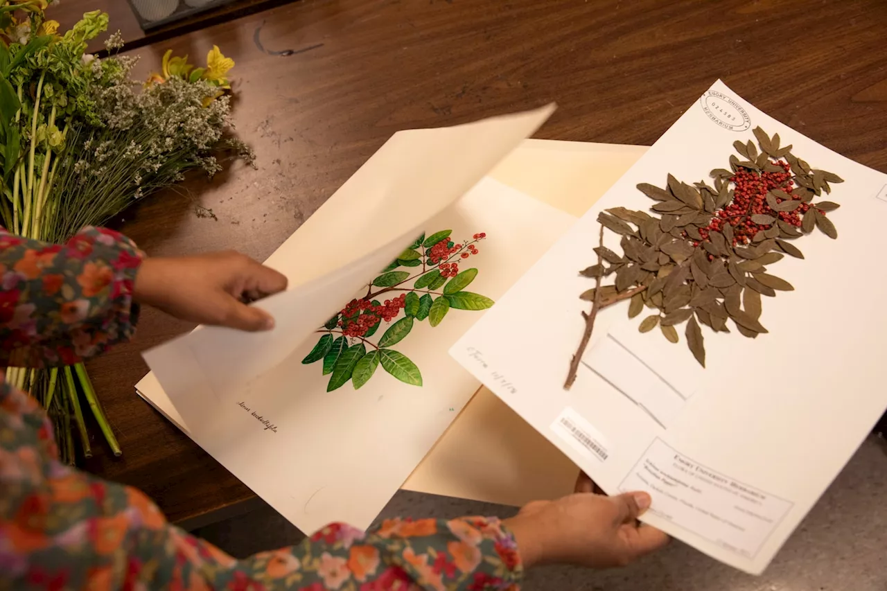 Centuries-old libraries of plants hold a key to the future