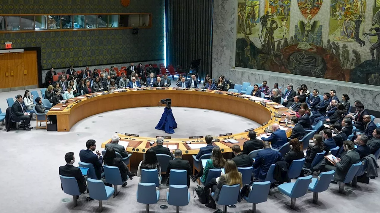 Russia and China veto US resolution calling for immediate cease-fire in Gaza