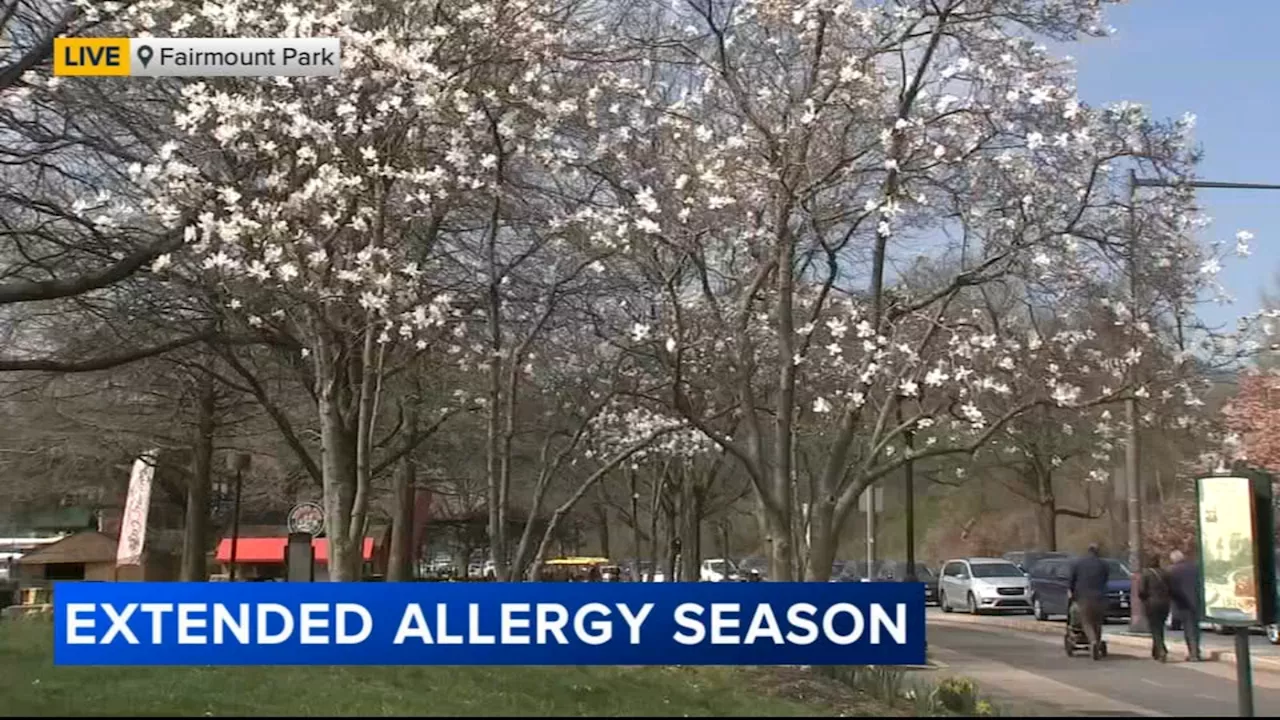 Early blooms mean headaches for allergy sufferers in the Philadelphia region