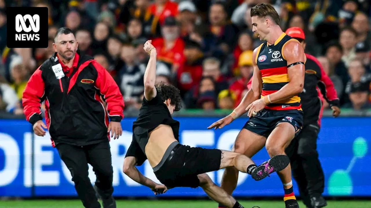 AFL coaches slam Adelaide Oval pitch invader amid player safety concerns during Crows-Cats match