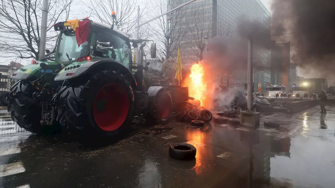 Agrardiesel vor dem Aus: Was haben Bauern-Proteste gebracht?