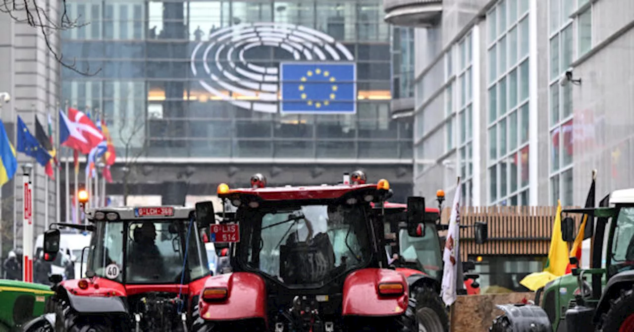 European Union Bows to Farmers, Imposes Restrictions on Some Ukrainian Agriculture