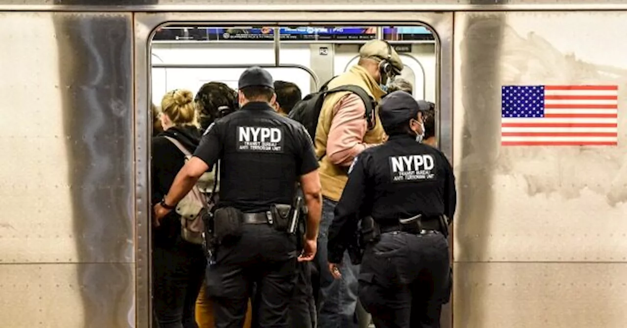 Undercover Police Struggle to Restrain Fare-Dodger at Times Square Station