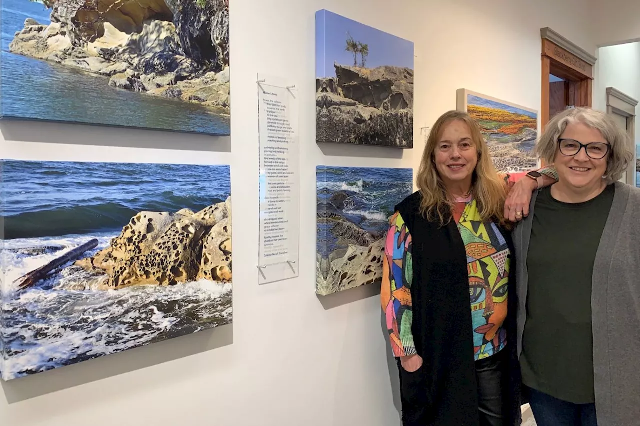 Gulf Islands tafoni accented in new Port Moody art show