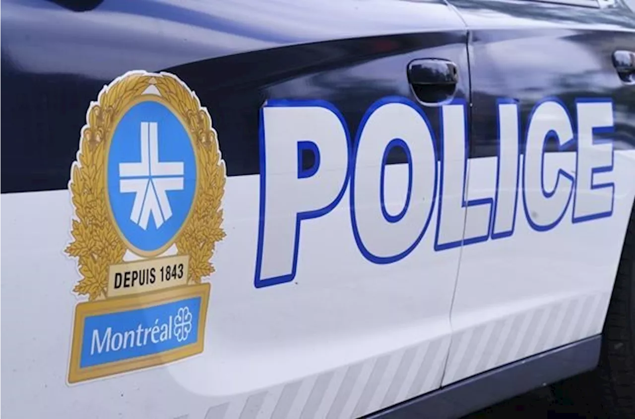 OPP, Montreal police nab 34 in Project Volcano, aimed at Ontario car theft suspects