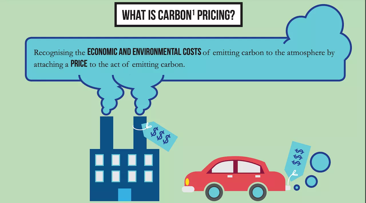 Voluntary Market Carbon Pricing — Explained