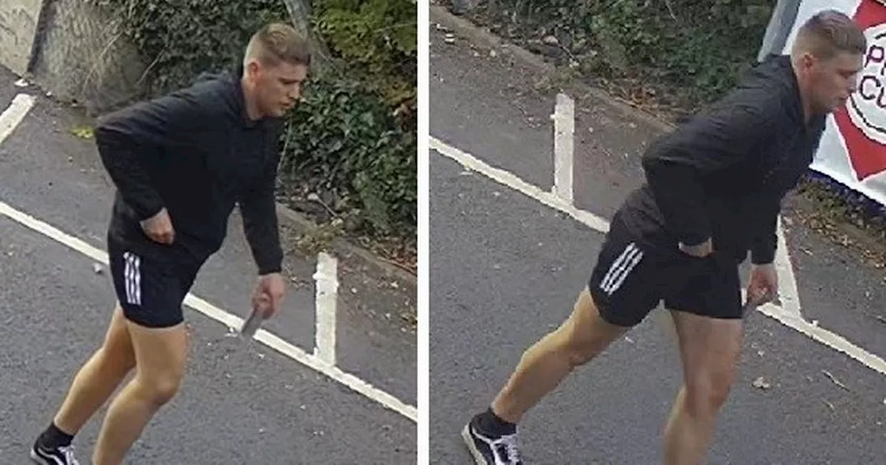 Police hunt athletic man in connection with incident involving young boy in park