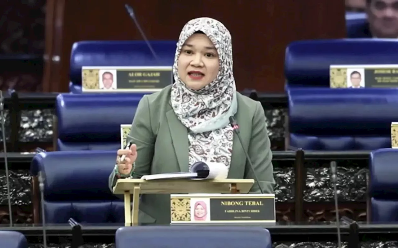 Only small number of primary school pupils do not go to Form 1, Fadhlina says