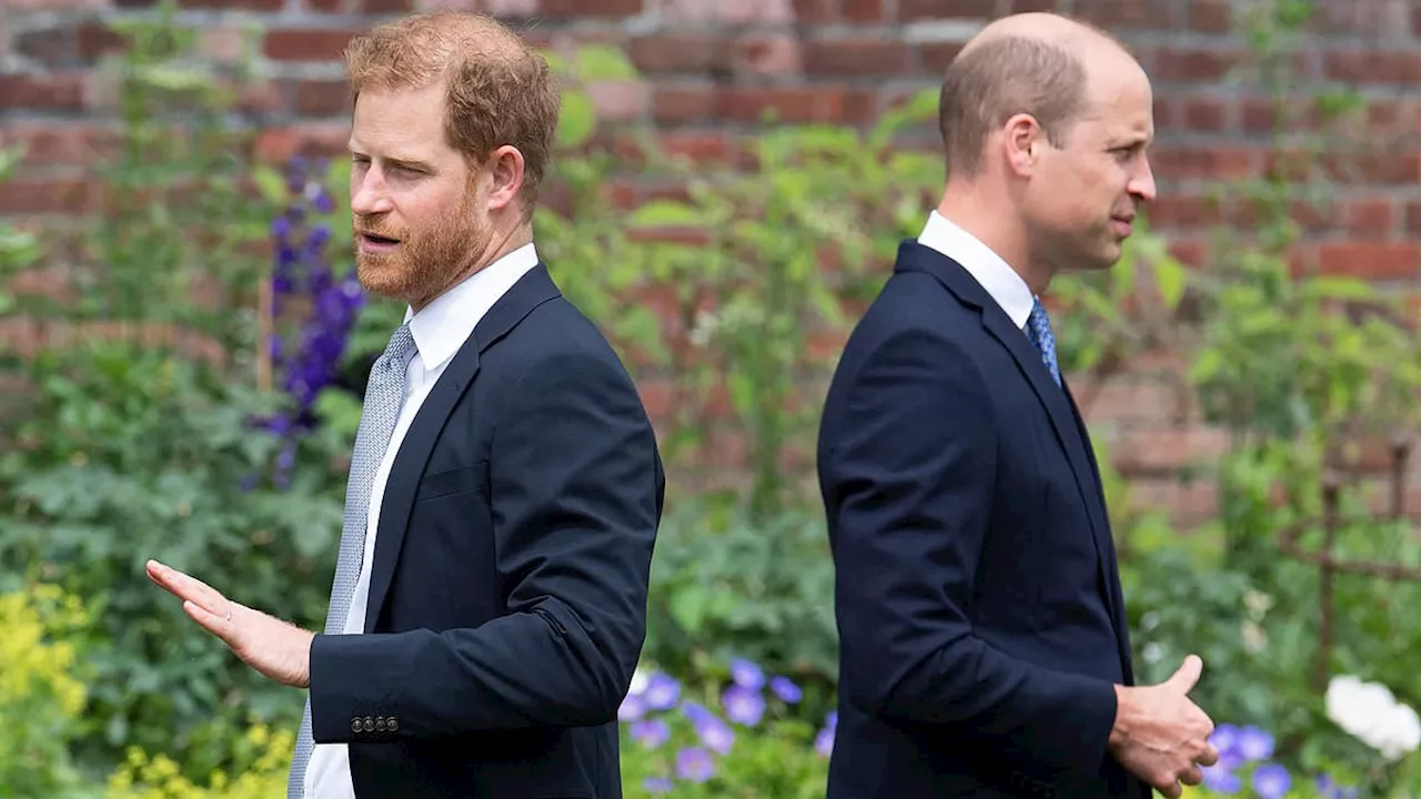 EPHRAIM HARDCASTLE: Could William and Harry be reunited at the Duke of Westminster's wedding?