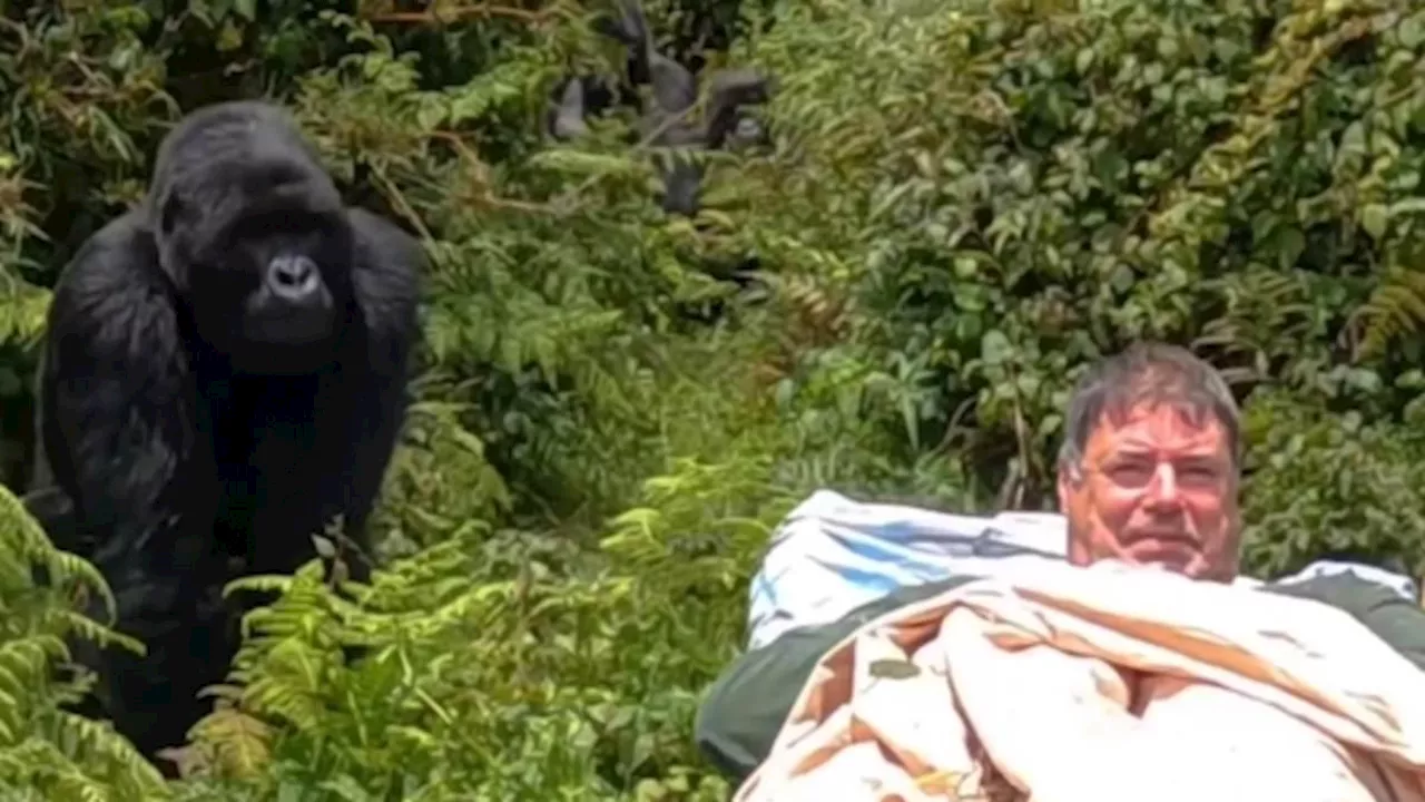 Man fulfills lifelong dream of meeting gorilla in the wild