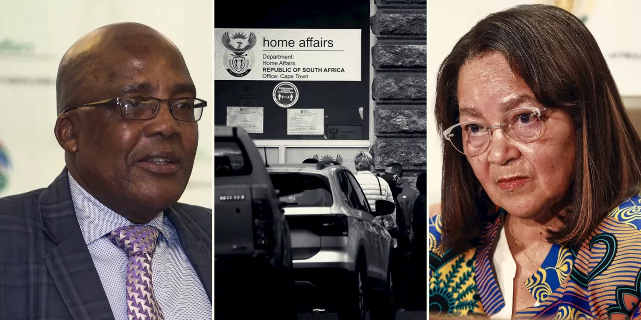 Motsoaledi should be held accountable for visa fiasco, not encouraging job creation — Fedhasa