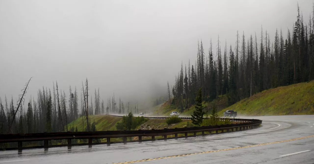 NOAA spring outlook released: Wet early spring followed by hot, dry summer in Colorado