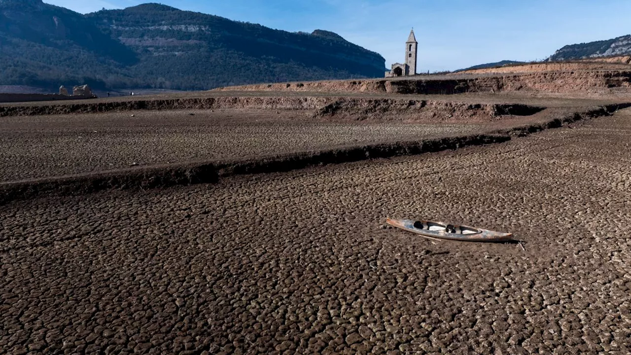 SPIEGEL-Klimabericht: Die Dürre ist vorbei