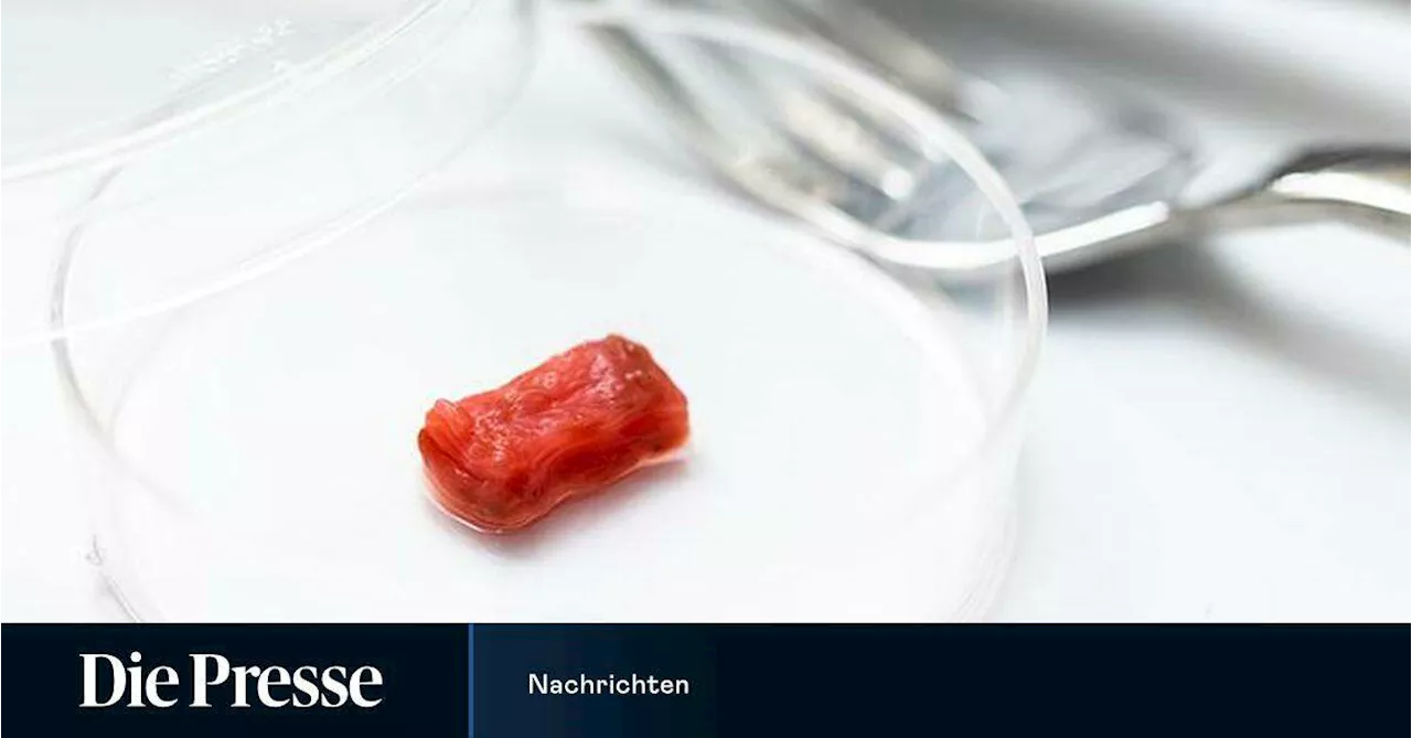 Neue Laborfleisch-Umfrage: Zwei Drittel gegen Zulassung