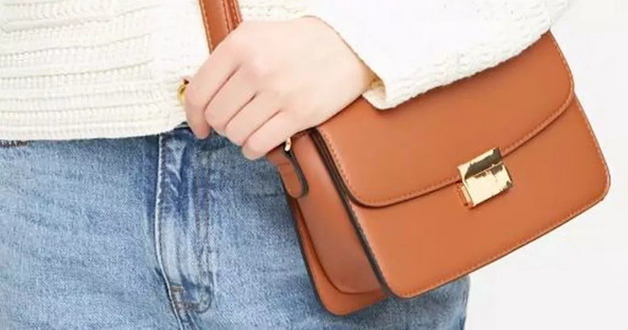 Sainsbury's £12 handbag looks almost identical to £230 version