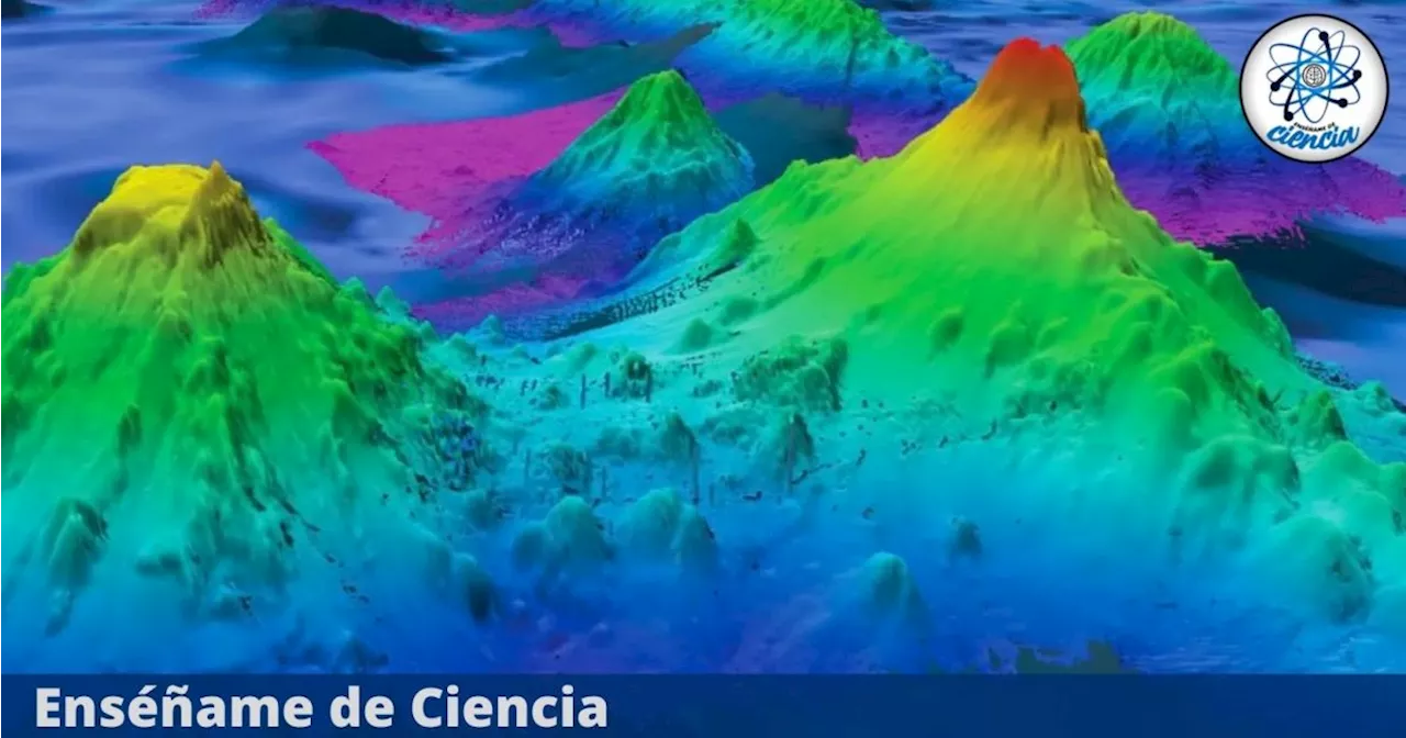 Una investigación submarina revela algo nunca antes visto en el fondo del océano