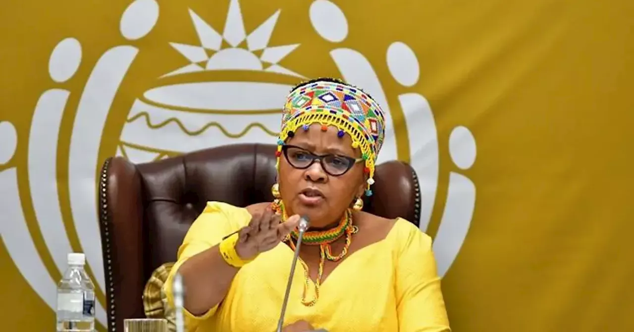 DA submits formal motion of no confidence in Mapisa-Nqakula