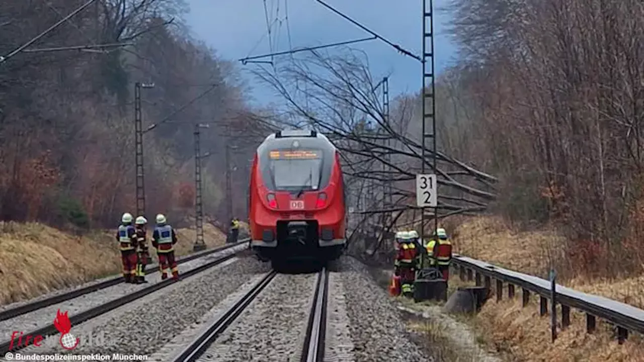 Bayern: Zug kollidiert bei Tutzing / Starnberg mit Baum → Oberleitung setzt Unfallzug unter Strom