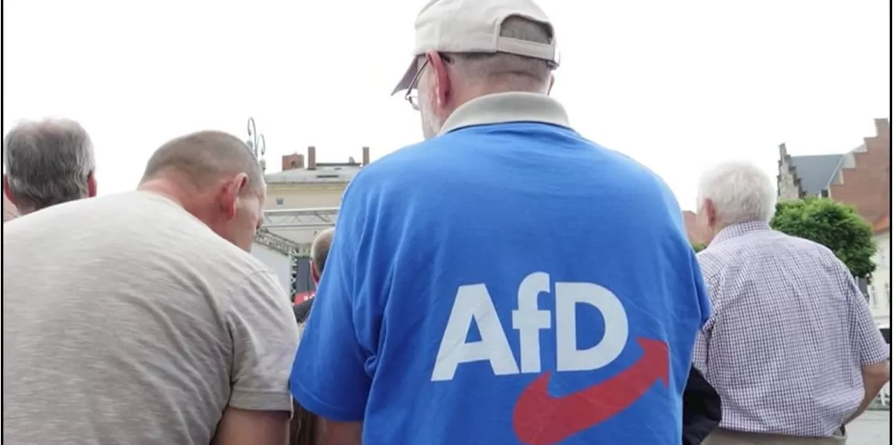 Studie: Diese Menschen wählen die AfD