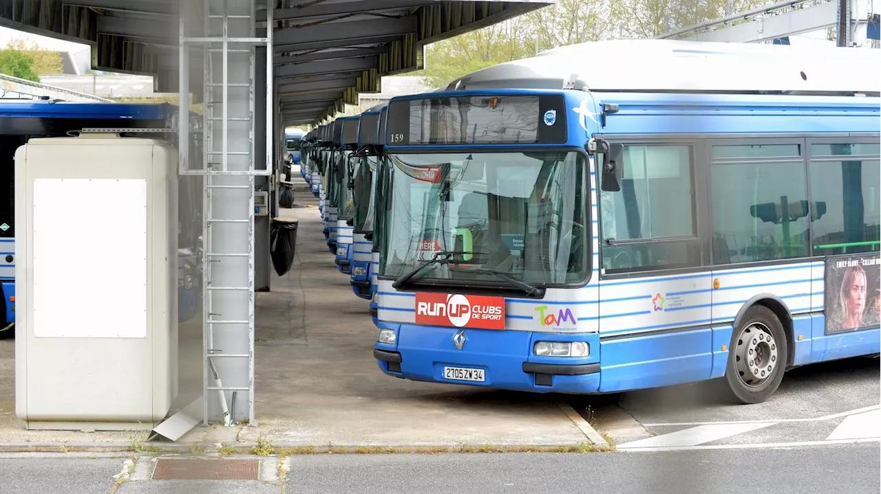 Hérault : plusieurs lignes de bus interrompues à Montpellier, après l'agression d'un chauffeur