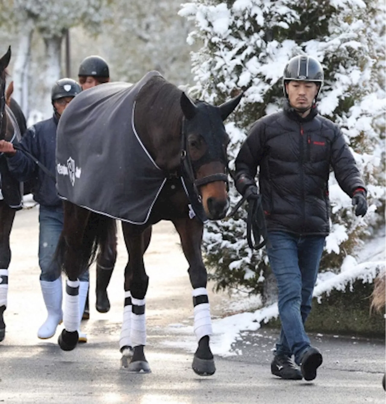 【高松宮記念】ロータスランド 有終ごぼう差し！辻野師「雨が降れば降るほどいい」