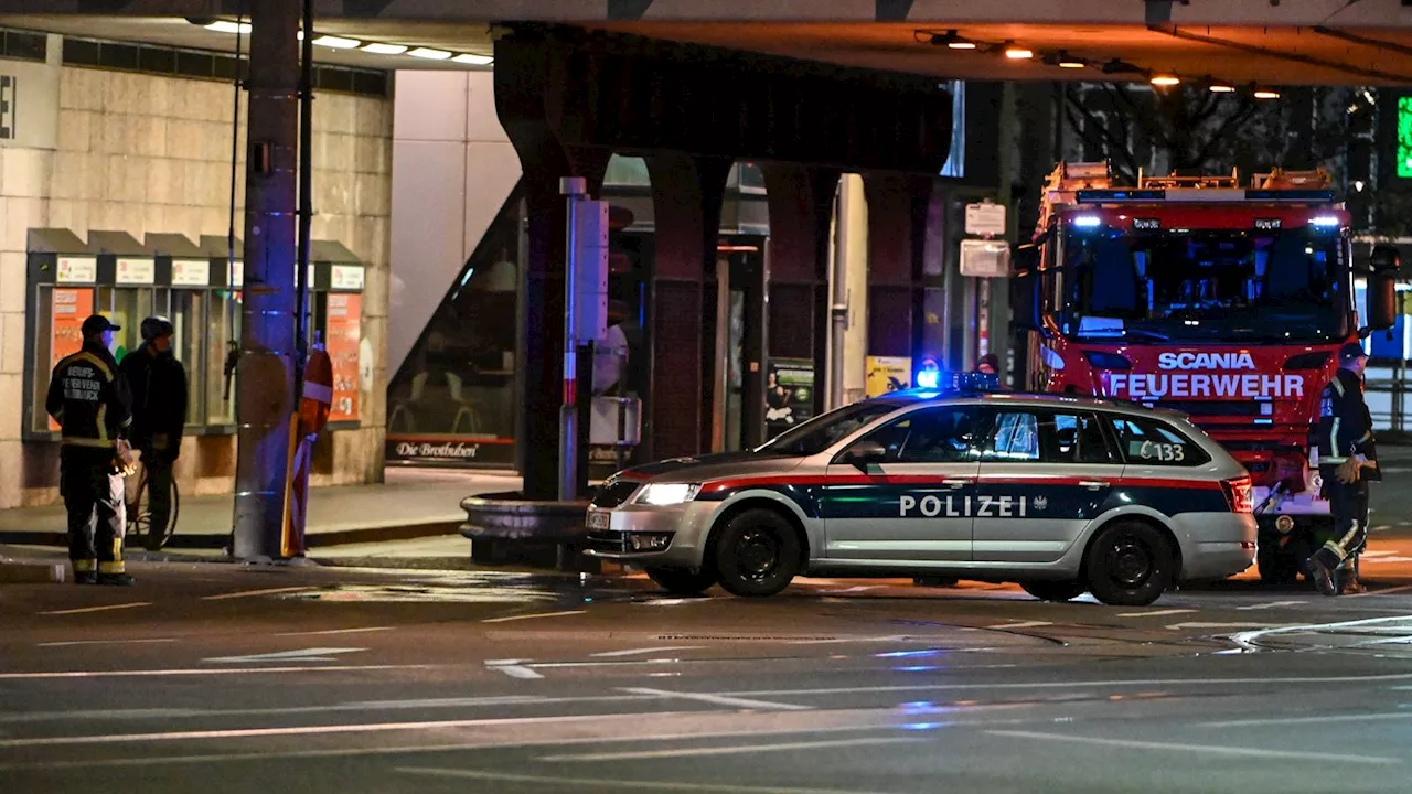 Klein-Lkw erfasst Fußgängerin – Frau stirbt in Spital