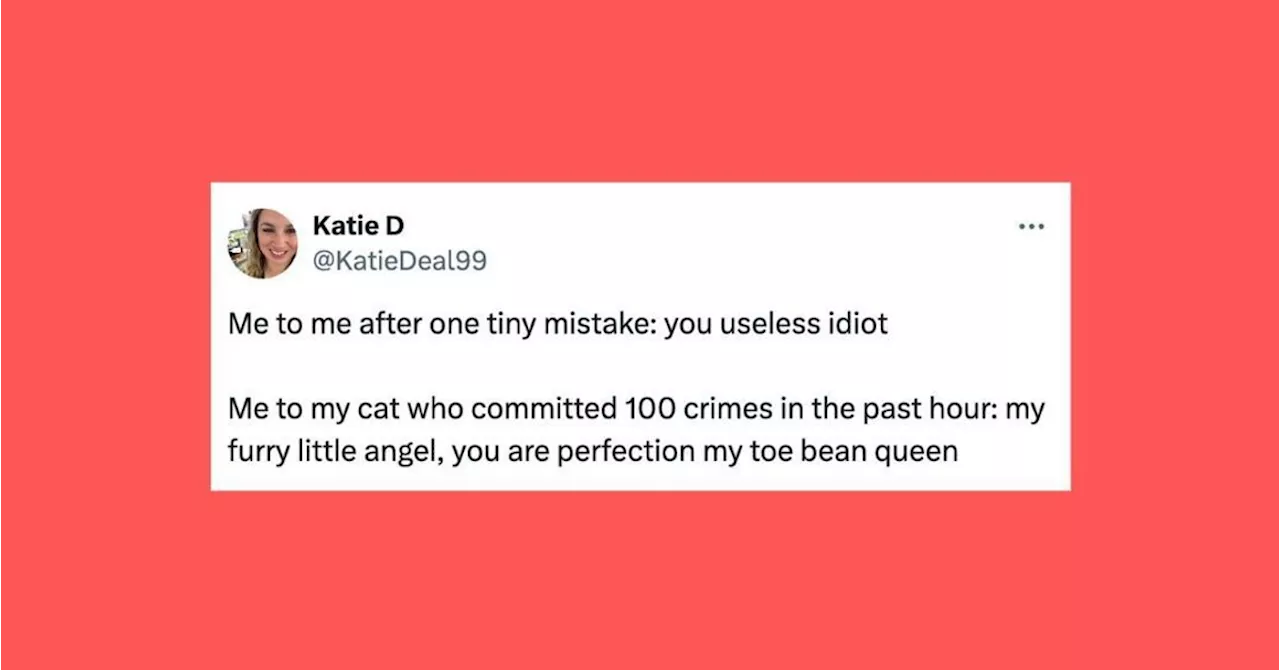 25 Of The Funniest Tweets About Cats And Dogs This Week (Mar. 16-22)