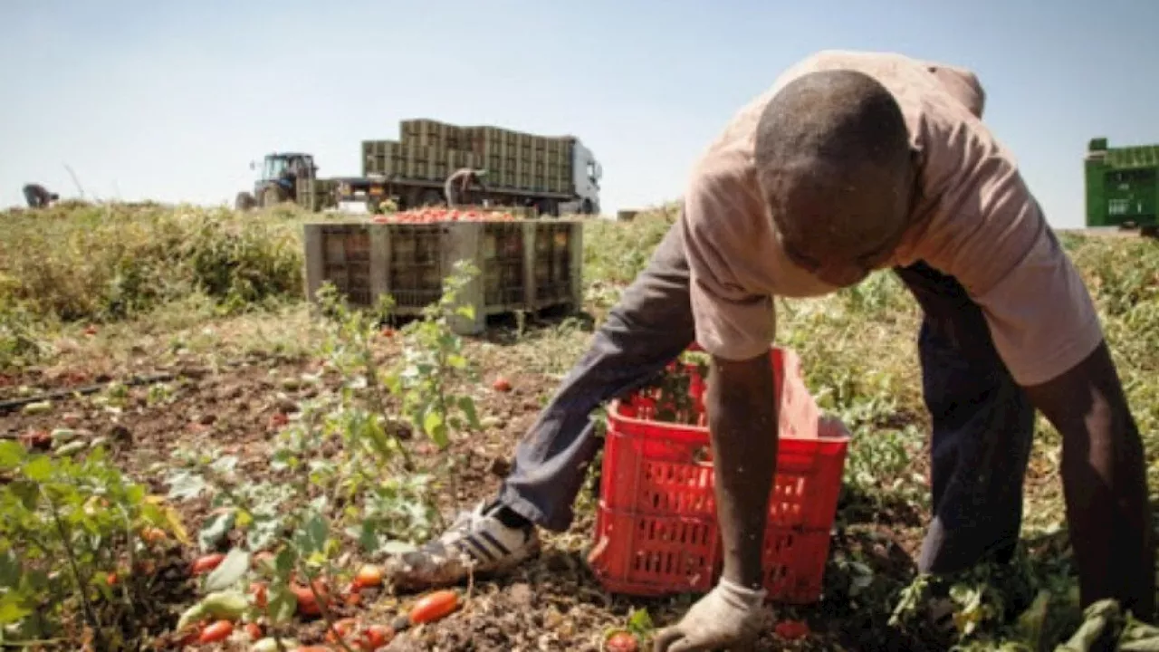 Lotta serrata al caporalato a tutela della buona agricoltura