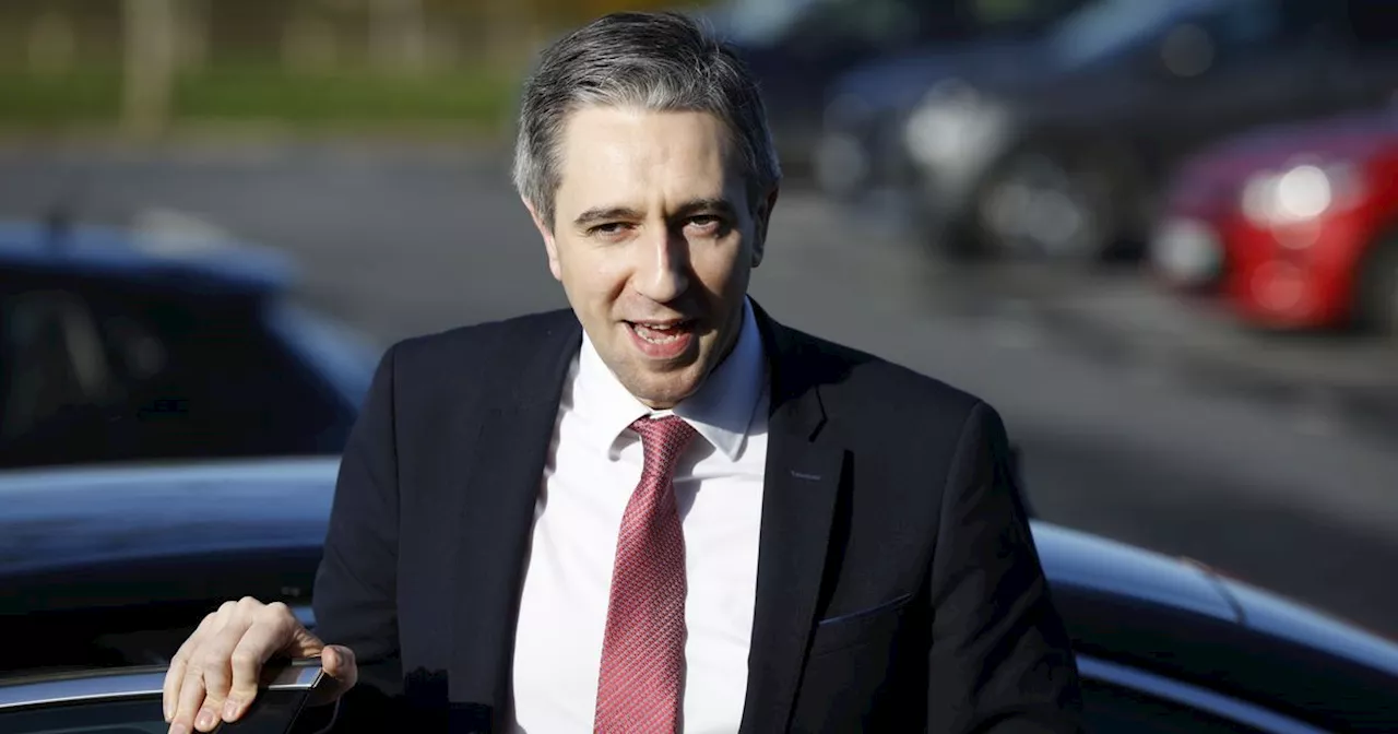 Simon Harris hits back at party criticism, saying 'you ain’t seen nothing yet'