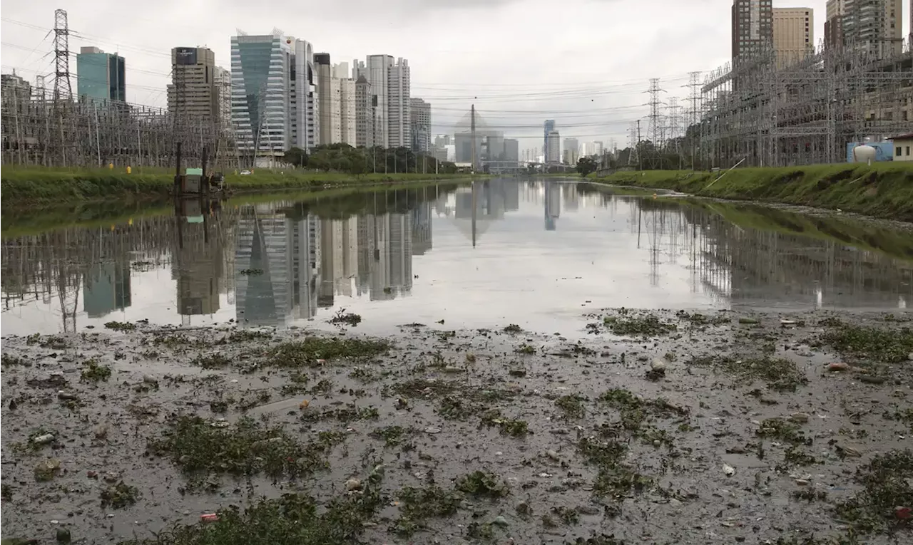 Água do Pinheiros é 'péssima'; Rio Tietê melhora, diz estudo