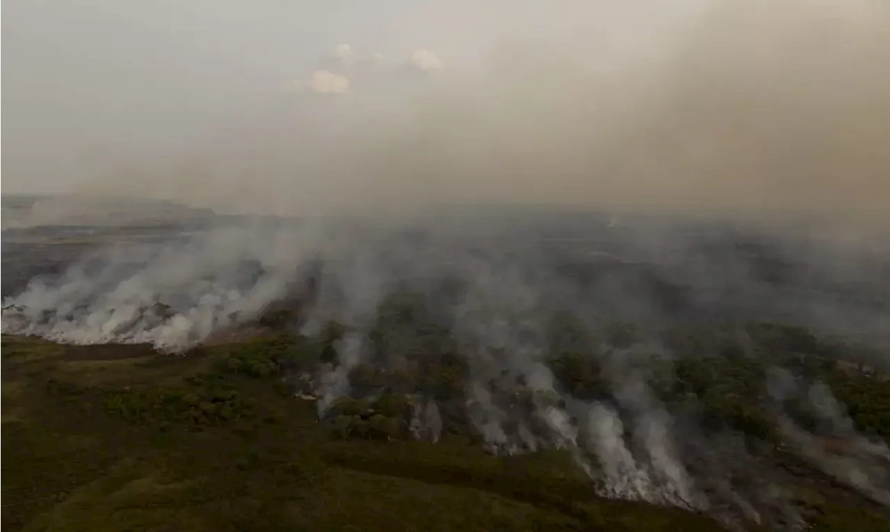 PL que muda Código Florestal vai desproteger 48 milhões de hectares