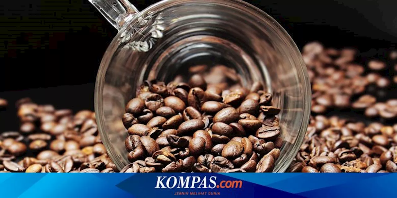 3 Harapan Pemerintah untuk Kemajuan Kopi Indonesia, Tak Sekadar Ekspor