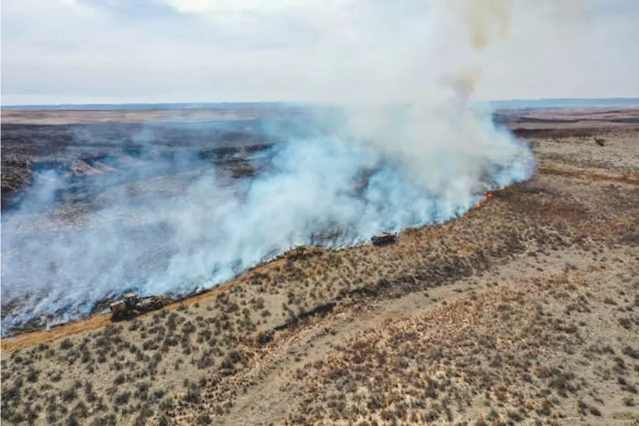 Gov. Abbott issues state emergency response ahead of critical wildfire conditions in Panhandle, West Texas