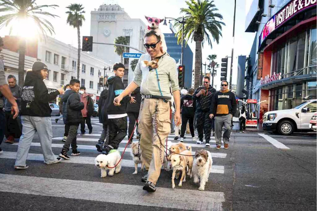 ‘Access to Hollywood’ plan will dramatically redesign Hollywood Boulevard