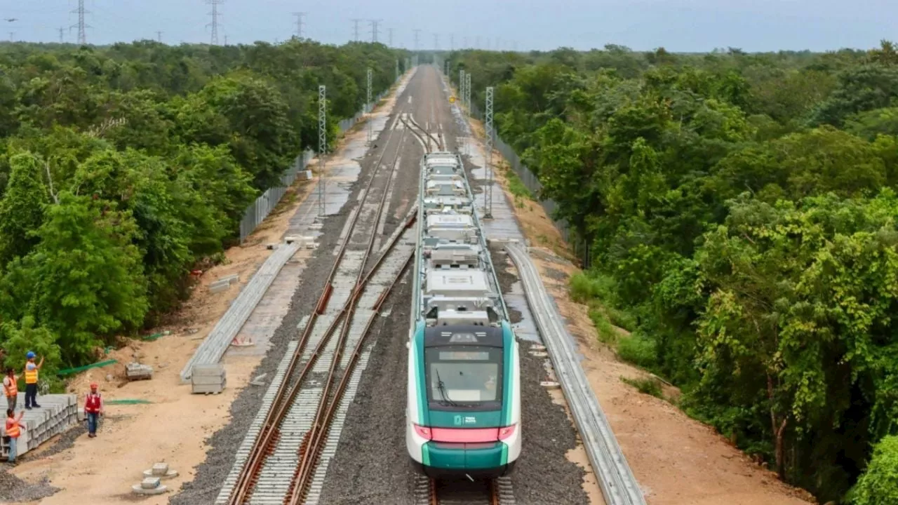 Desacato de suspensión de obras en Tramo 5 Sur del Tren Maya, esto es lo que sabemos