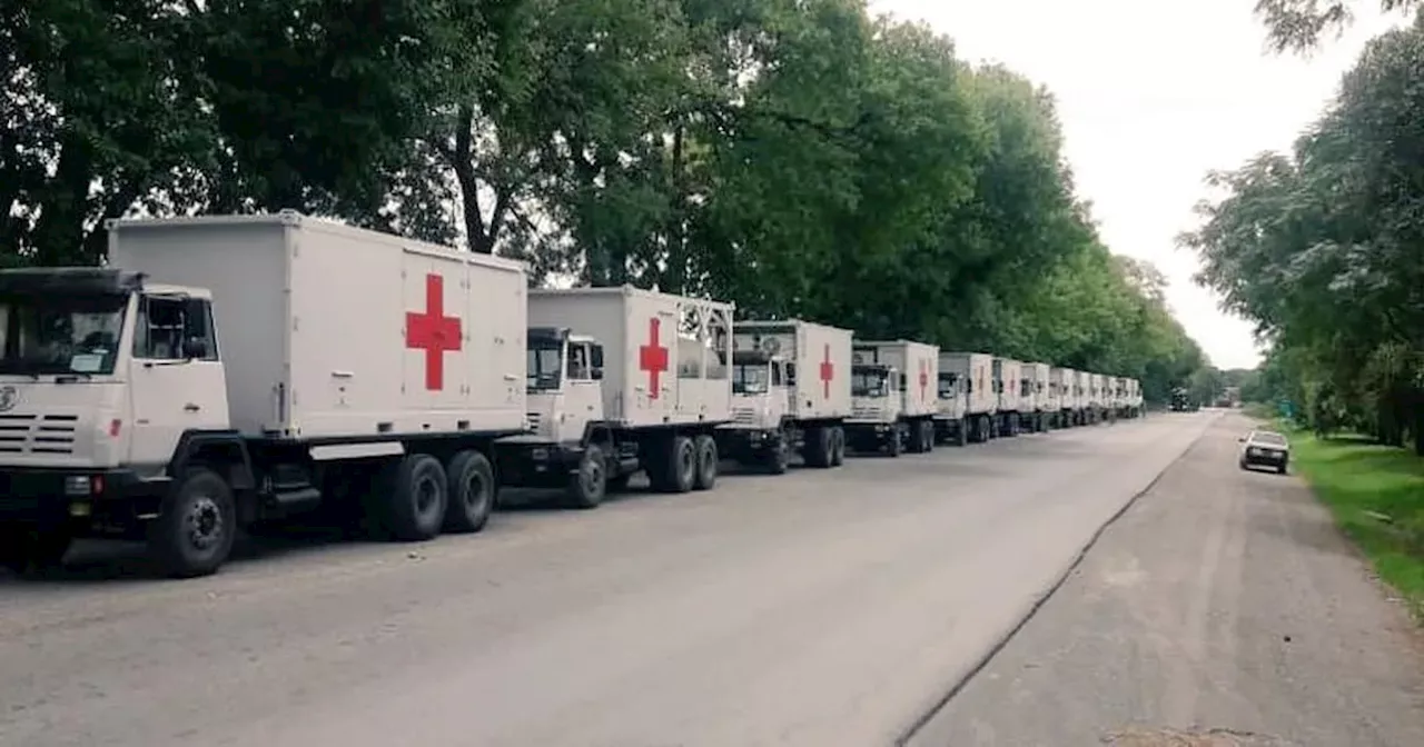 Llegaron al país 30 camiones donados por China a la Argentina para combatir el Covid-19