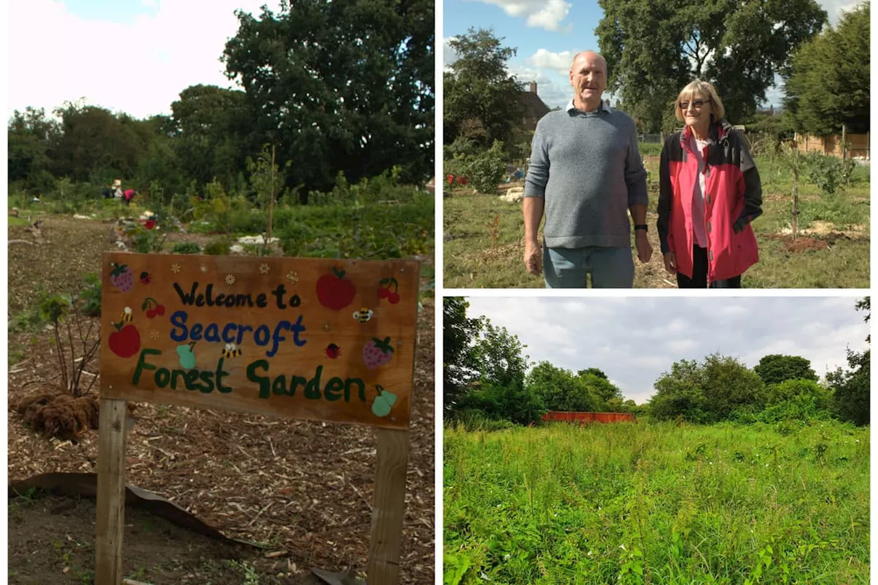 Meet the Leeds couple who turned an 'overgrown dumping ground' in Seacroft into beautiful community gardens