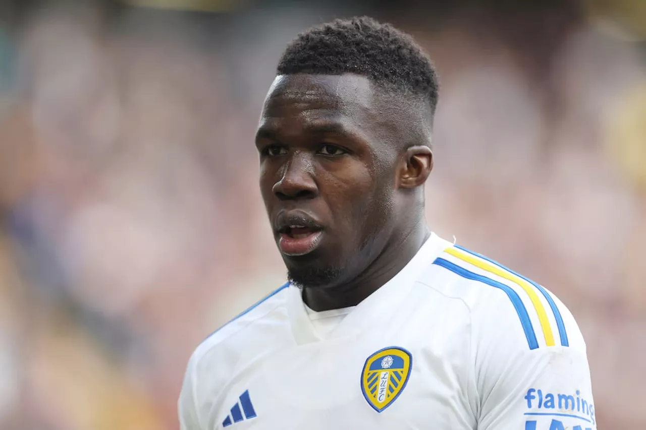 Wilfried Gnonto pinpoints moment he believed Leeds United could win the Championship amid Leicester City claim