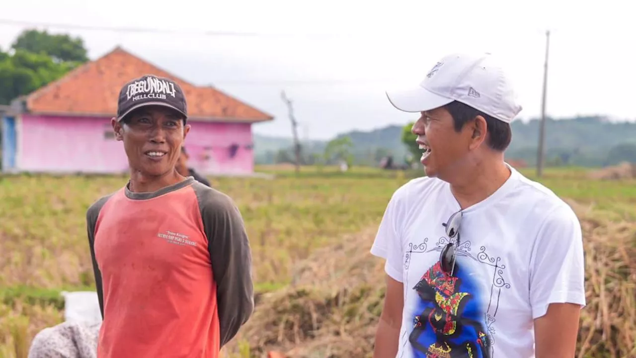 Cerita Dedi Mulyadi Bertemu Petani Keluhkan Harga Jual Gabah