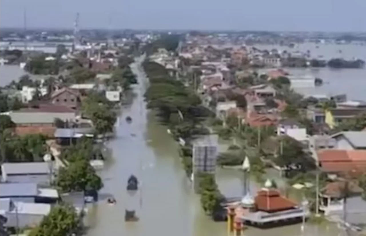 Presiden Jokowi Tinjau Langsung Lokasi Banjir di Demak