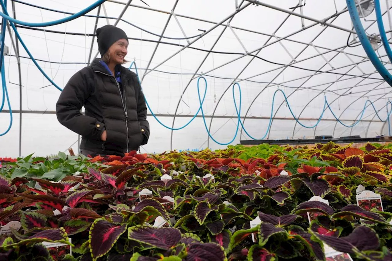 With organic fields next door, conventional farms dial up the pesticide use, California study finds