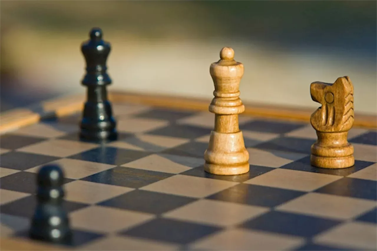 Canino back at helm of women’s chess meet