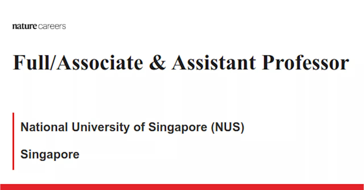 Full/Associate &amp; Assistant Professor - Singapore job with National University of Singapore (NUS)