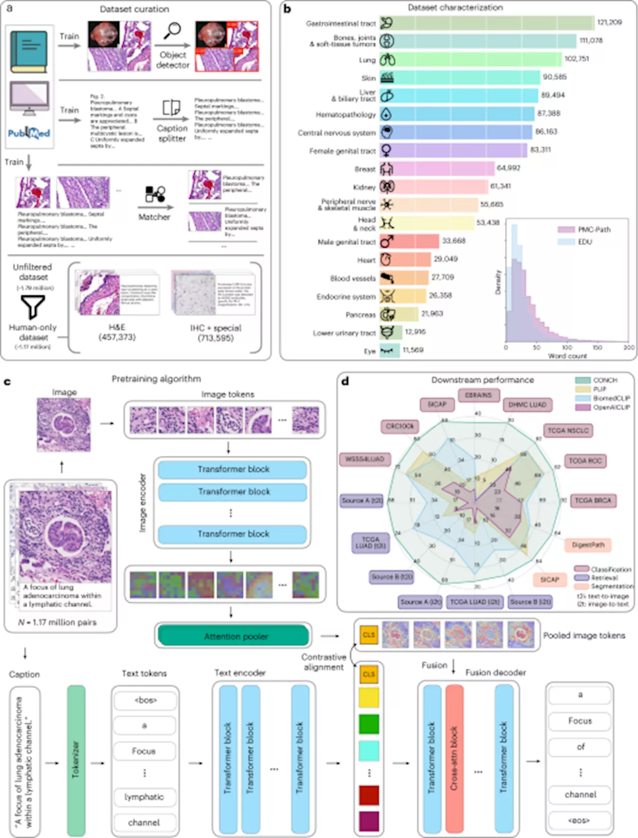 A visual-language foundation model for computational pathology