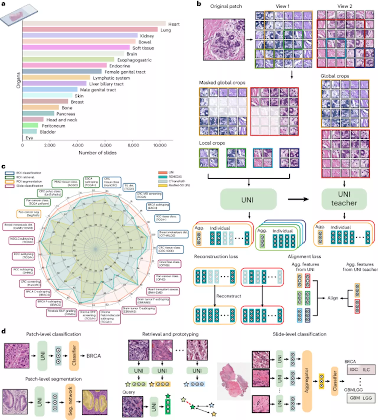 UNI: A General-Purpose Self-Supervised Model for Pathology