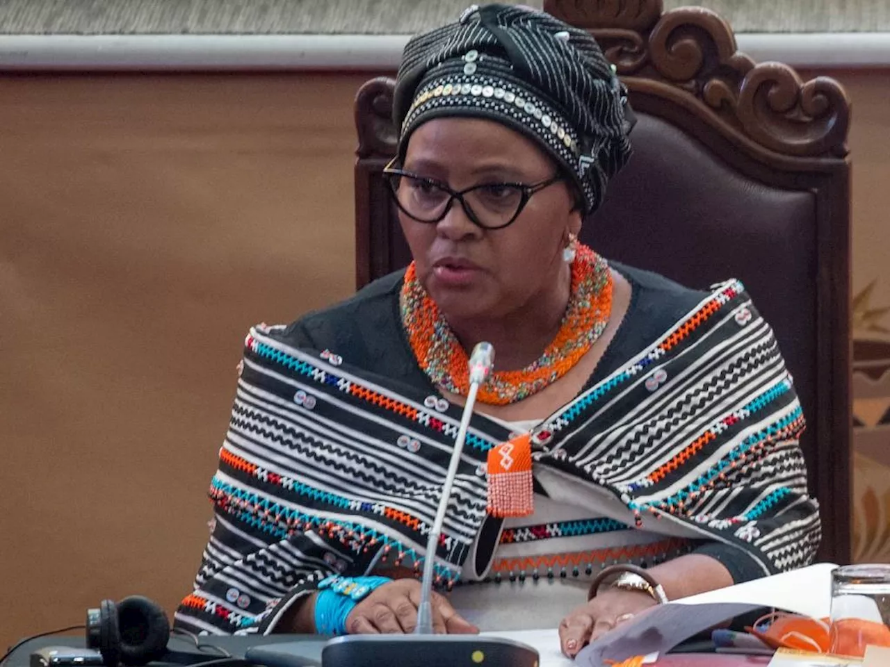  Mapisa-Nqakula launches urgent bid to block her arrest, demands evidence against her