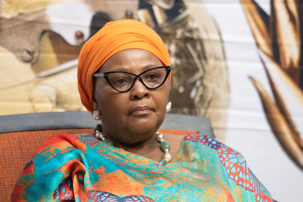 Mapisa-Nqakula not appearing in court as she lodges urgent bid to block her arrest