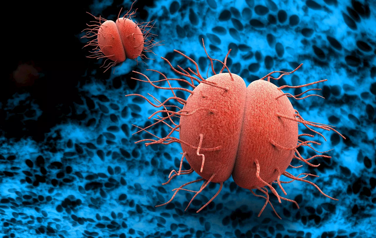 Rising antimicrobial resistance in STIs: A call for global action