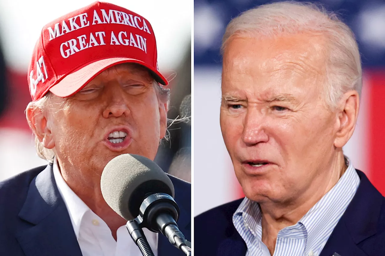 Joe Biden Leads Donald Trump in Eight Polls