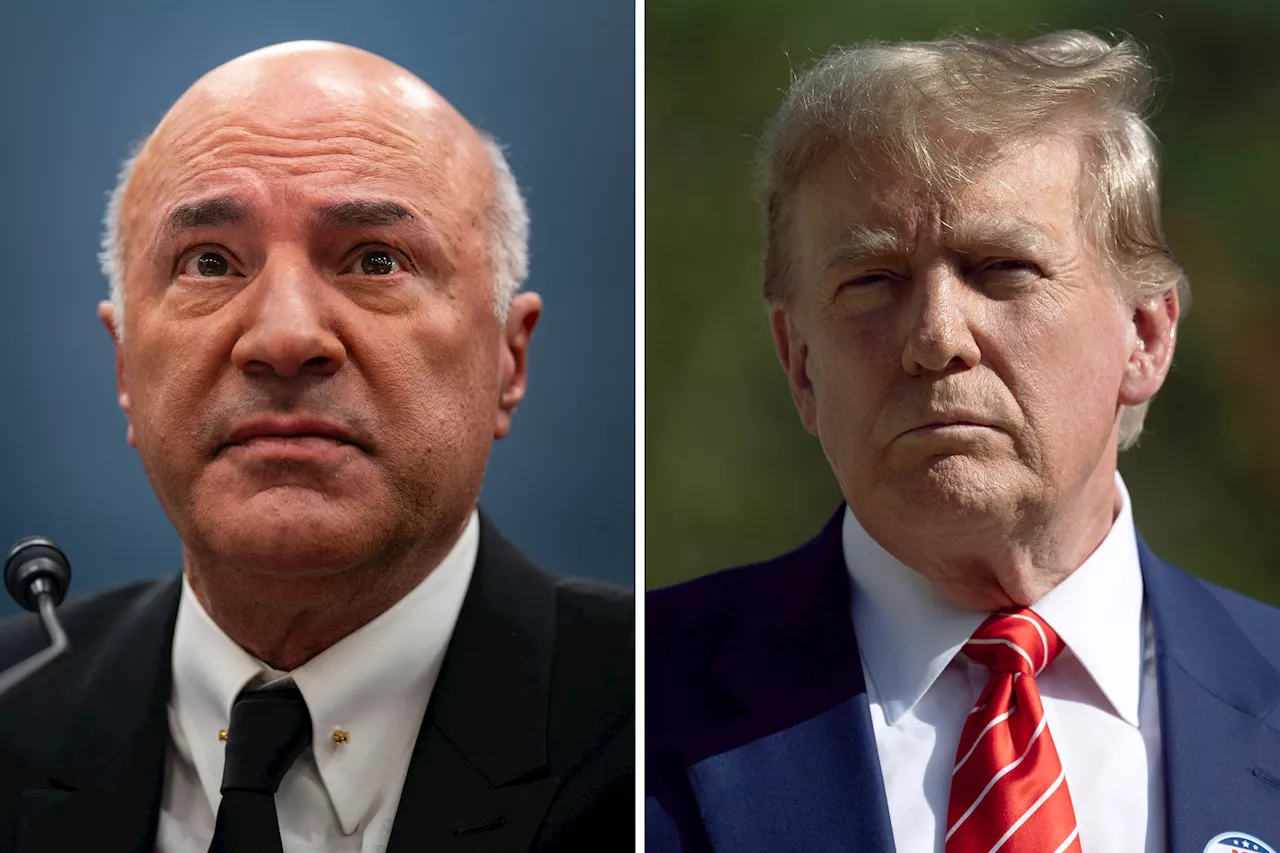 Shark Tank's Kevin O'Leary Reveals Key Problem With Trump Fine | United ...